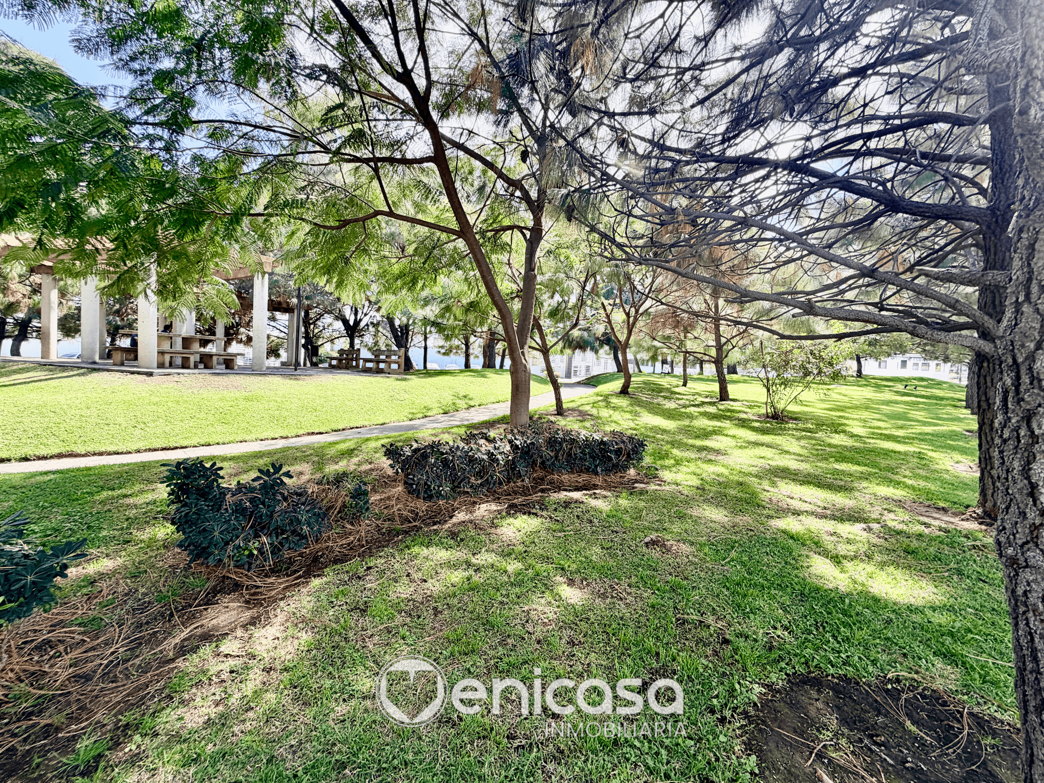 Foto de la propiedad 39