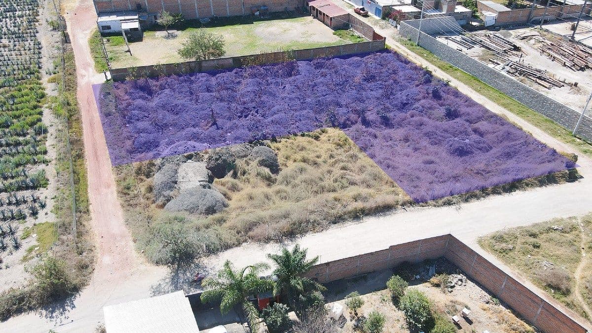 Foto de la propiedad 2