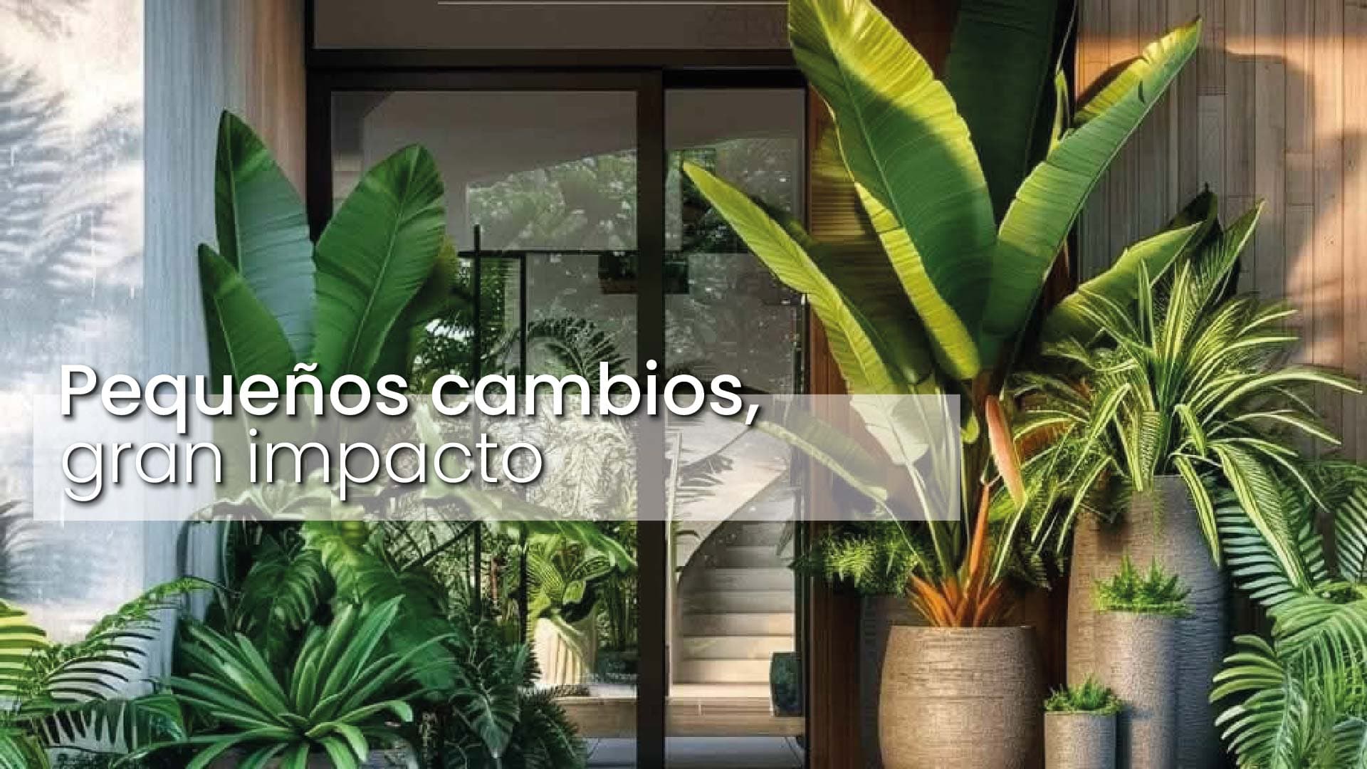 Cinco tips para hacer tu vivienda más sustentable